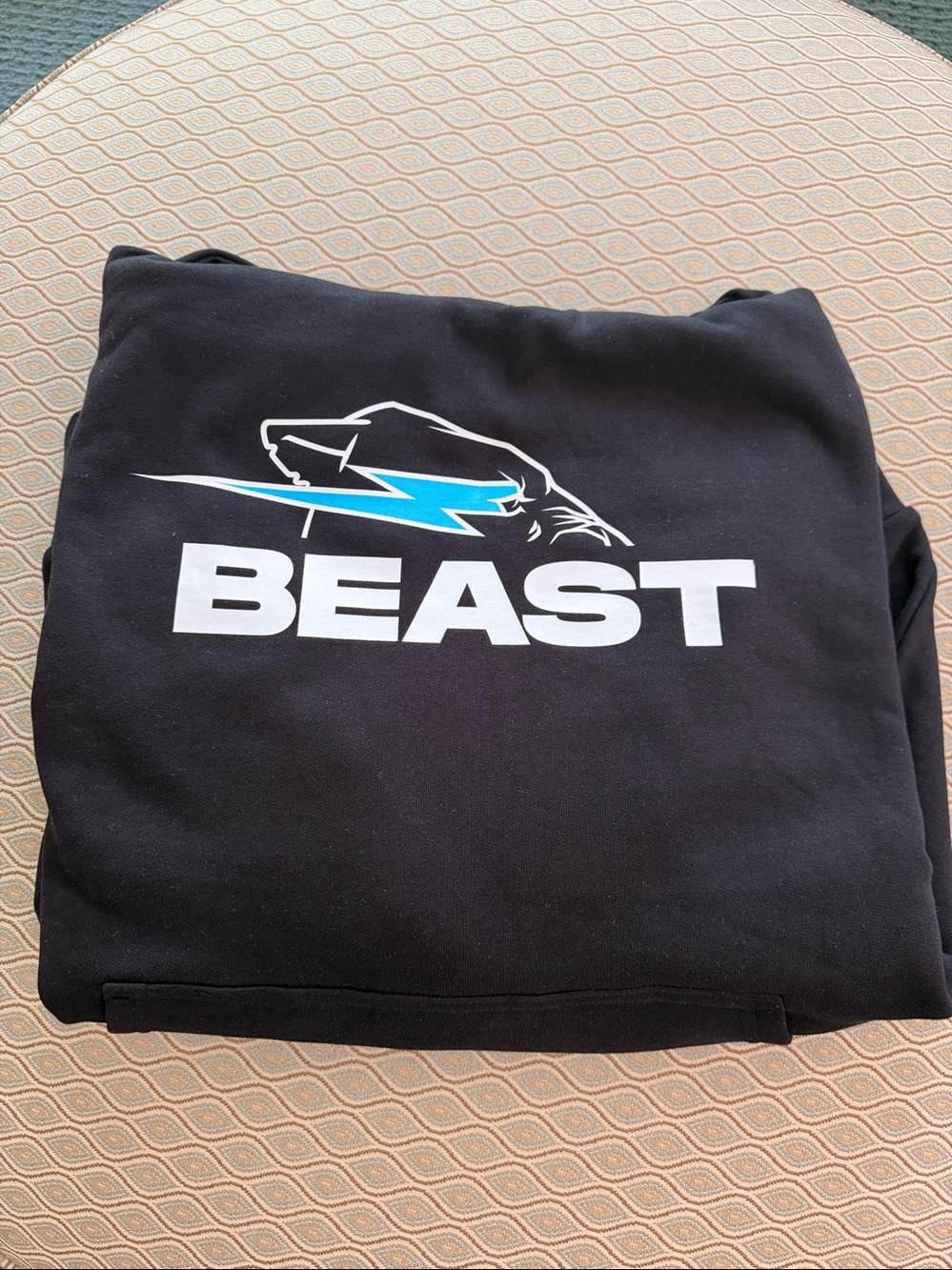 Mr Beast Black Large Hooded Sweatshirt. Never Worn.